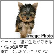 小型犬飼育可